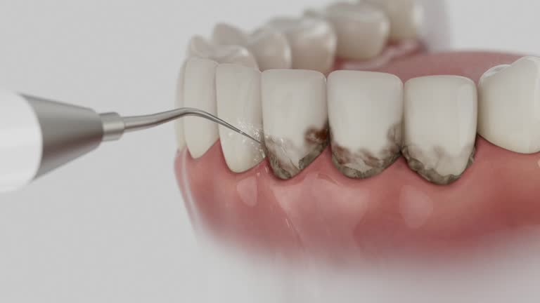Reliable Dental contractor in Southern Pines, NC by Dentist Open Now